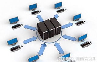 四川自考網絡工程專業本科分析與計算機軟硬件及輔助設備批發行業前景